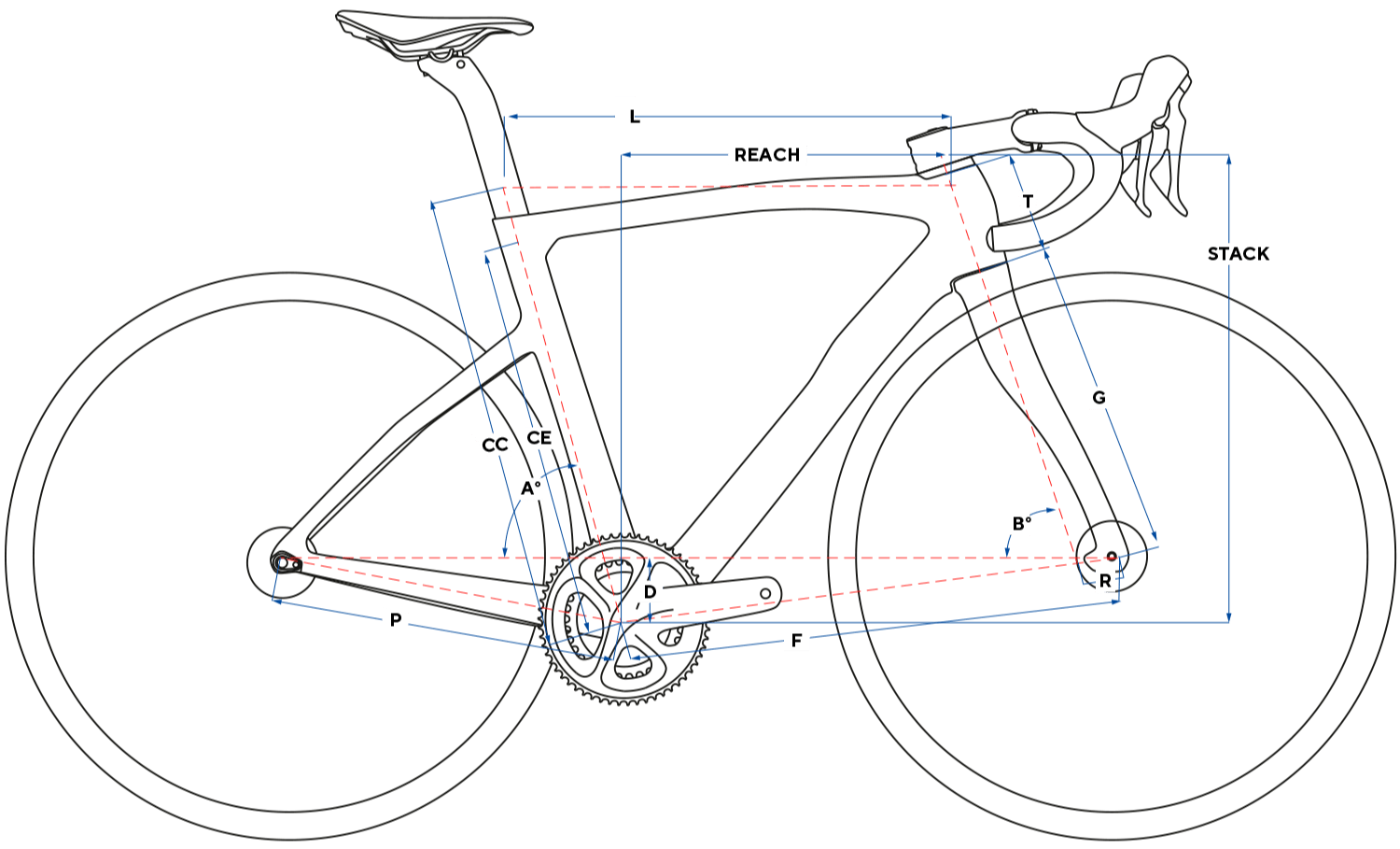 PINARELLO F1 105 Geometry