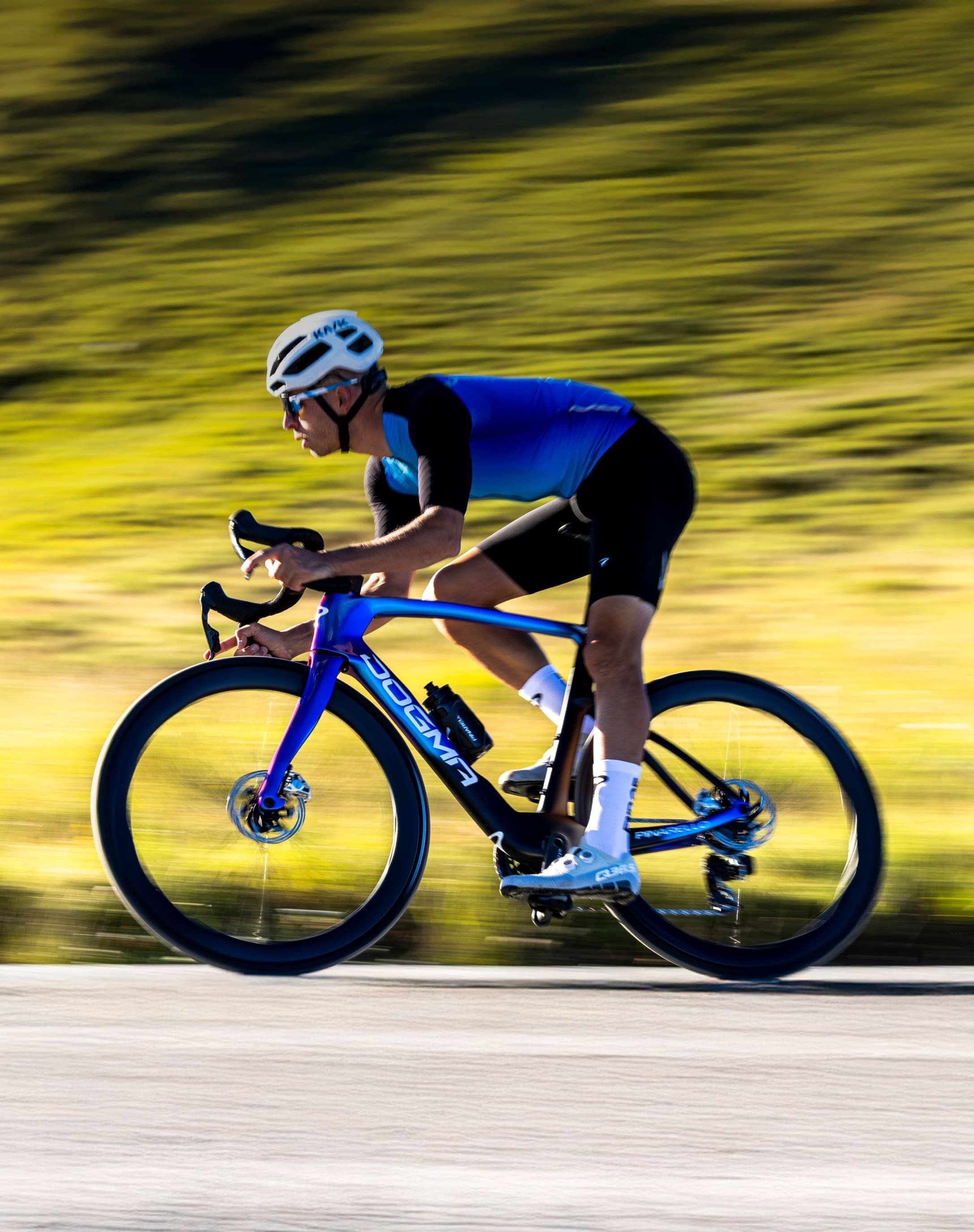 DOGMA F