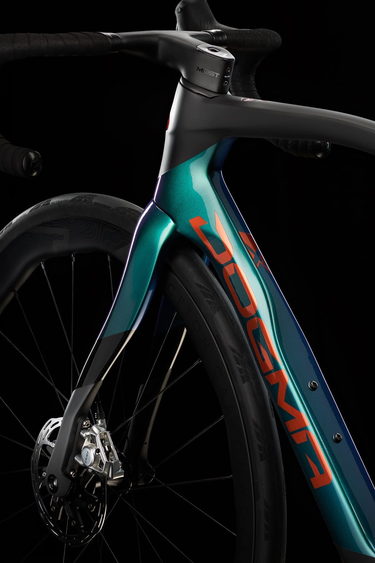 NEW Dogma X