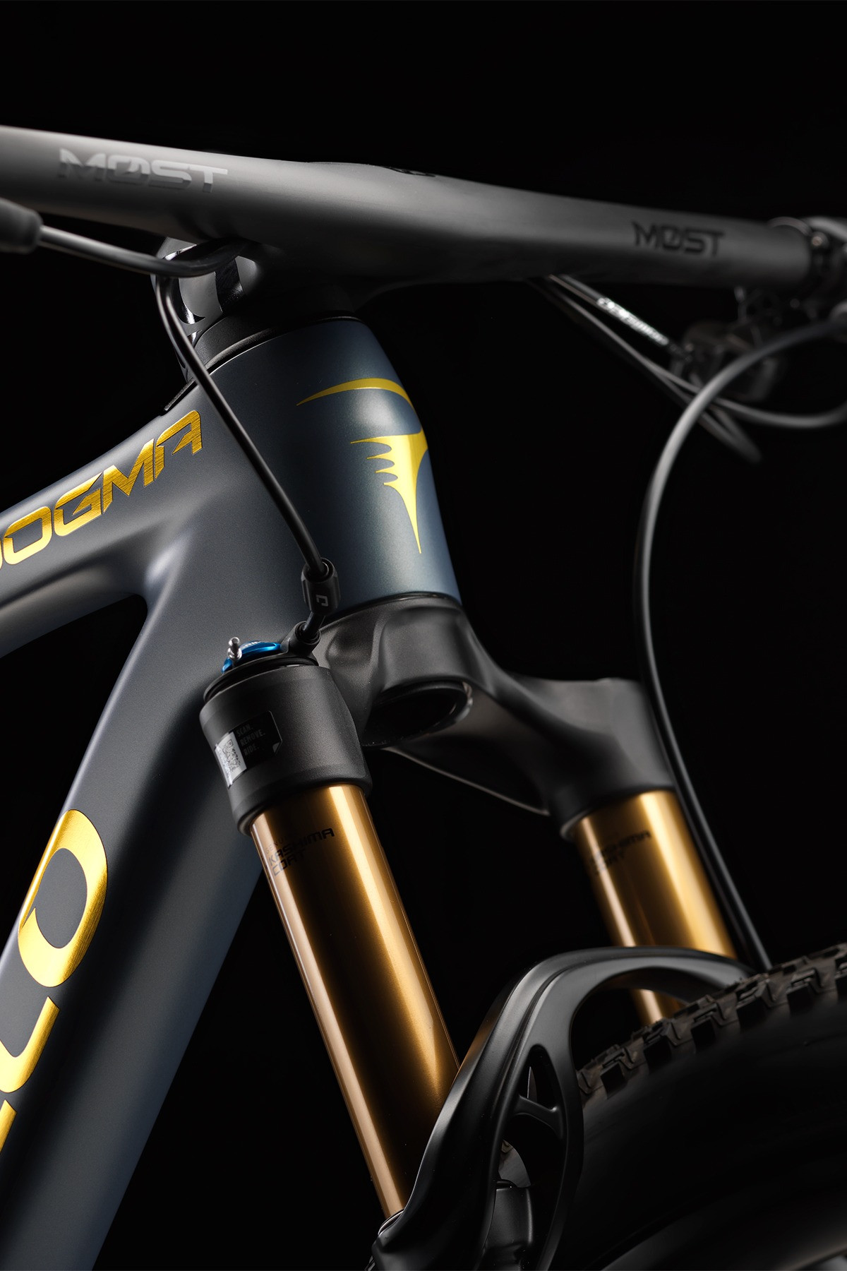 Dogma XC