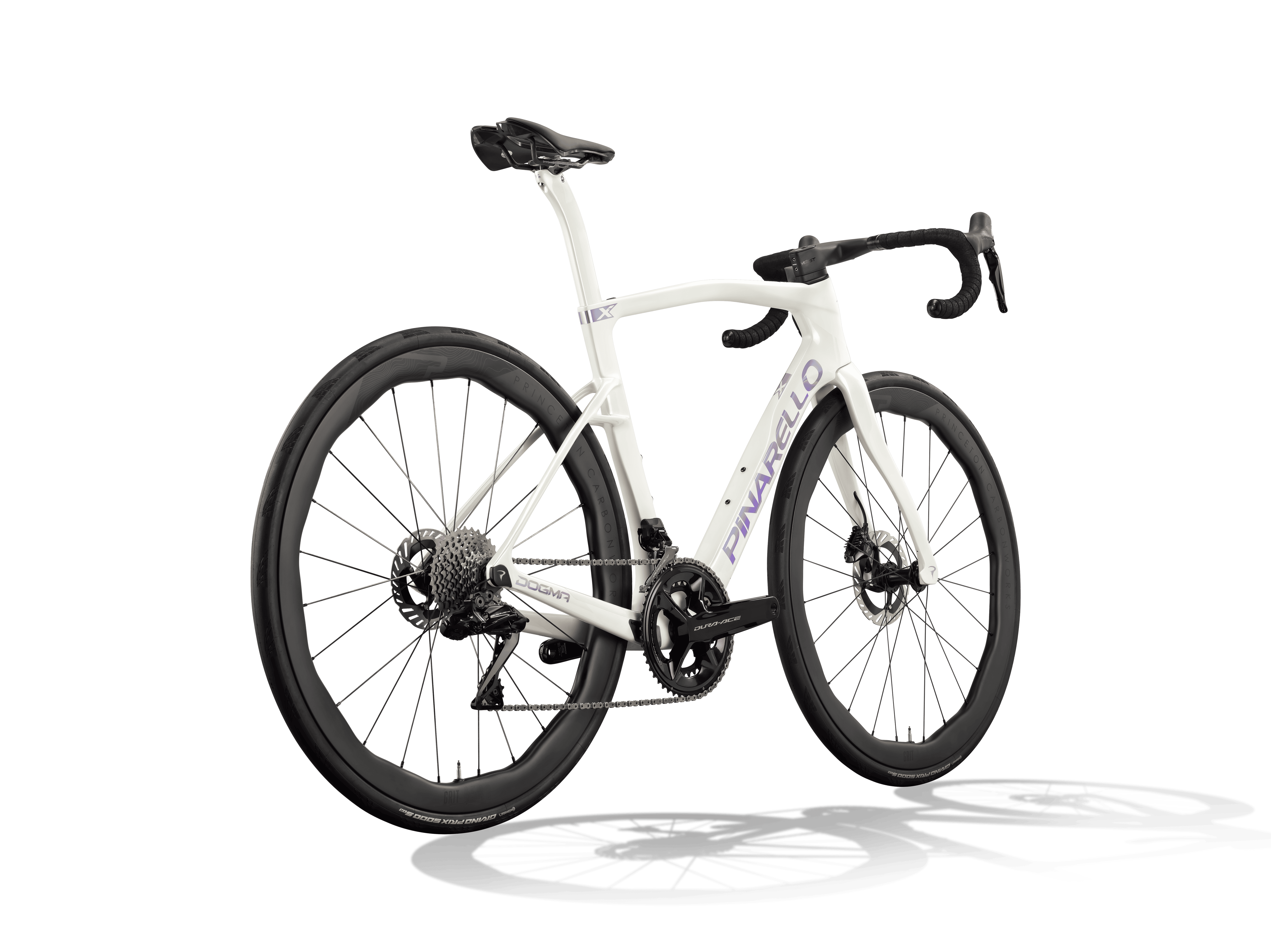 NEW DOGMA X