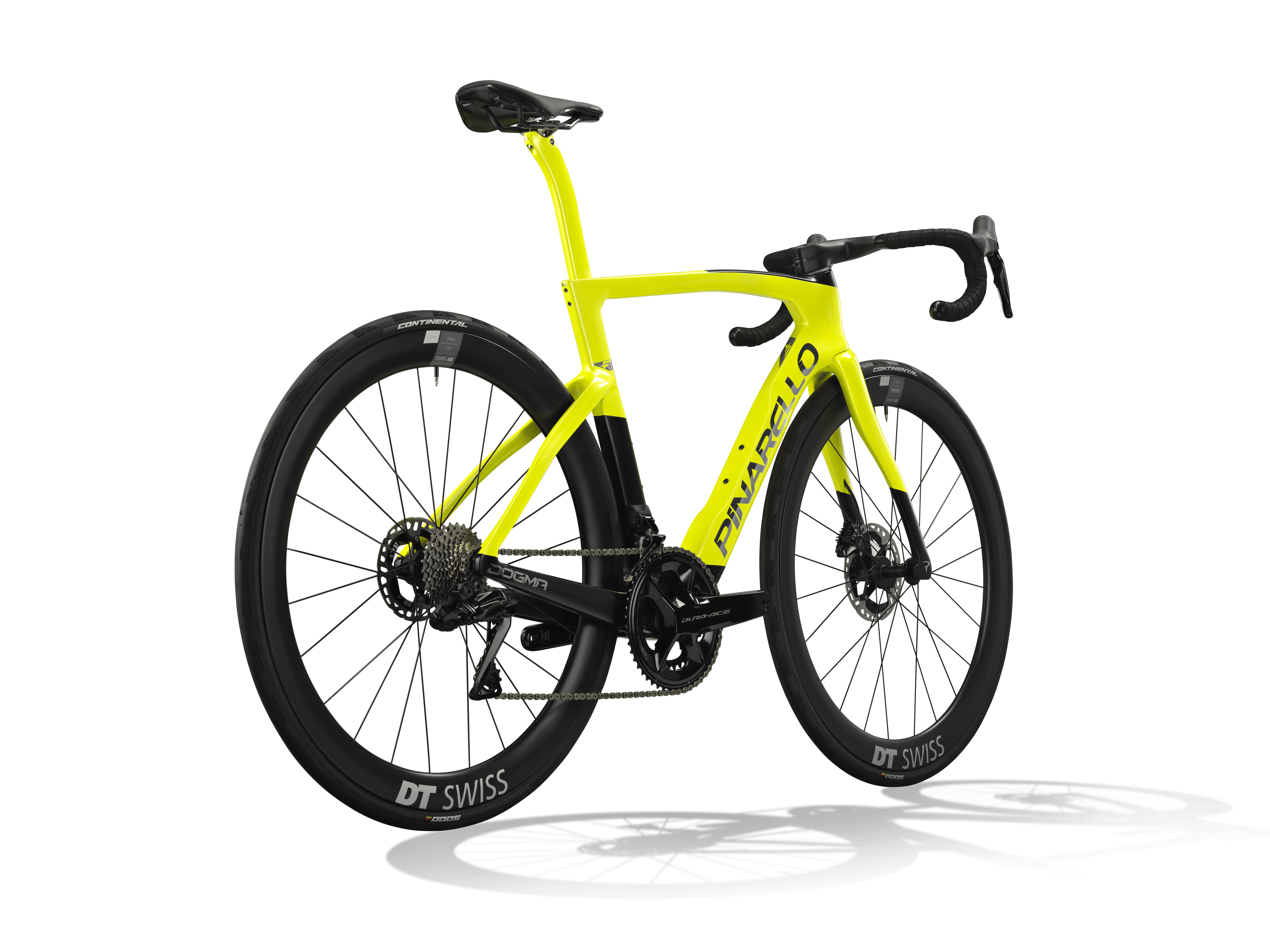 DOGMA F