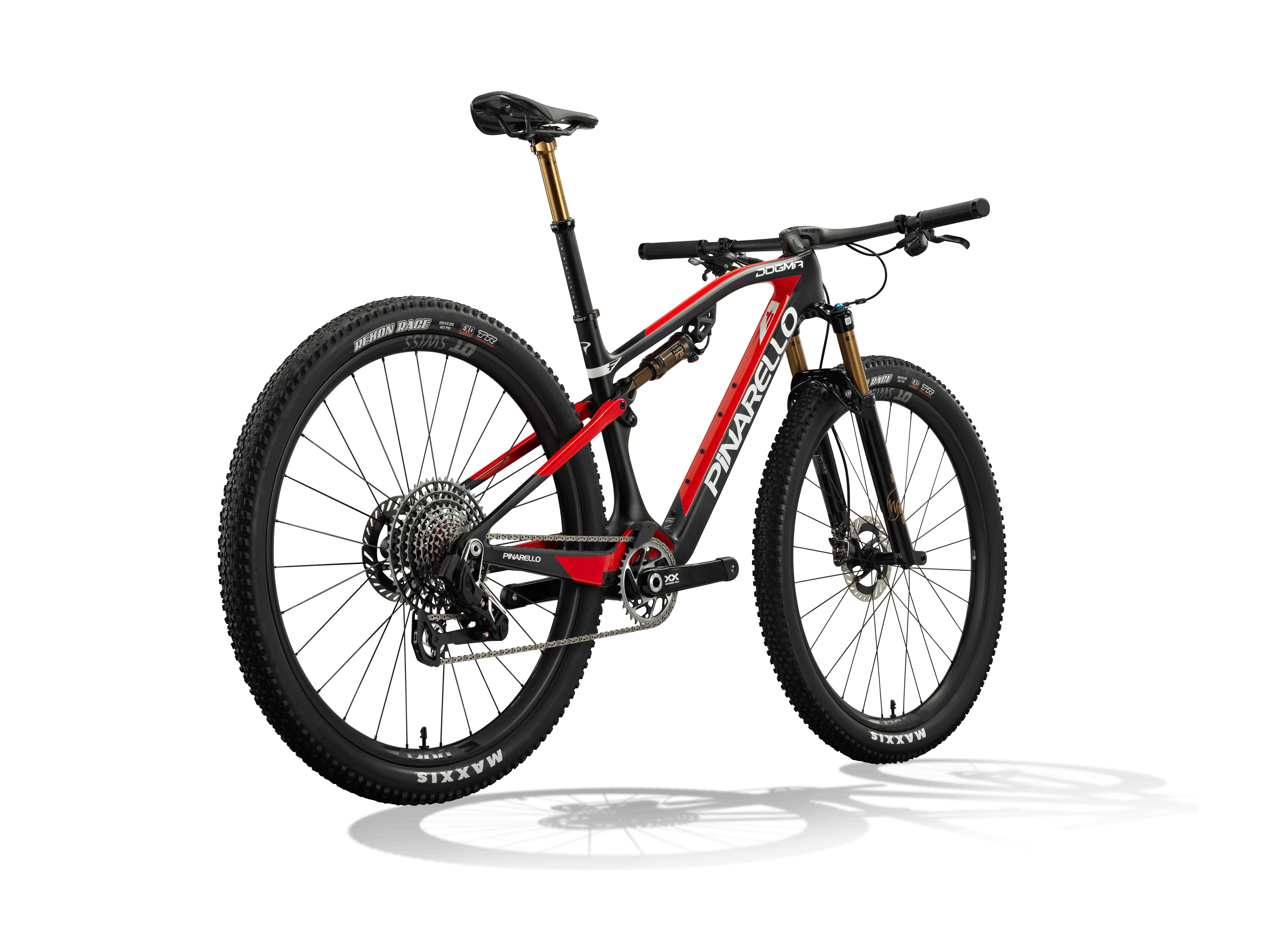 DOGMA XC XX SL 100