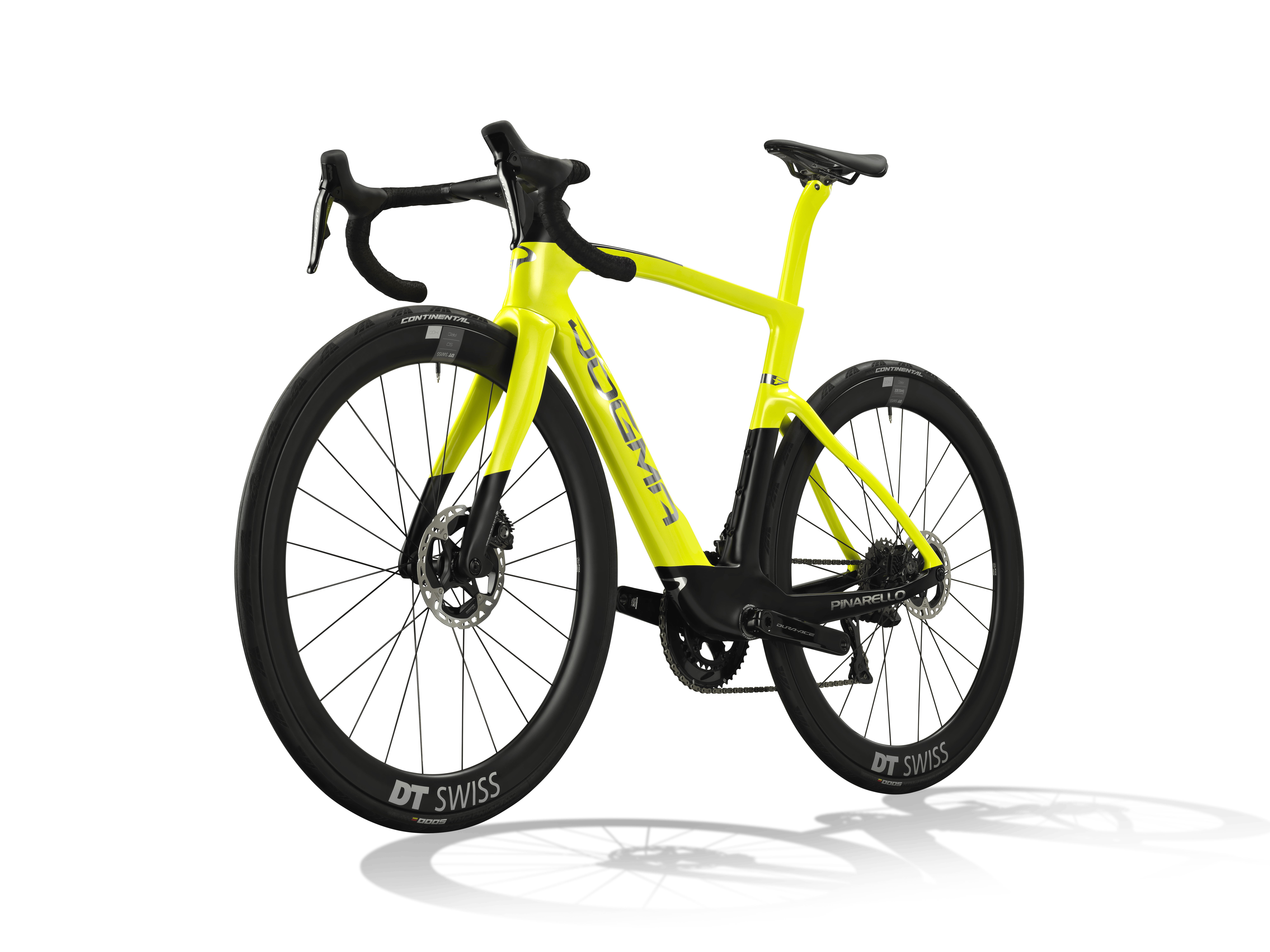 DOGMA F