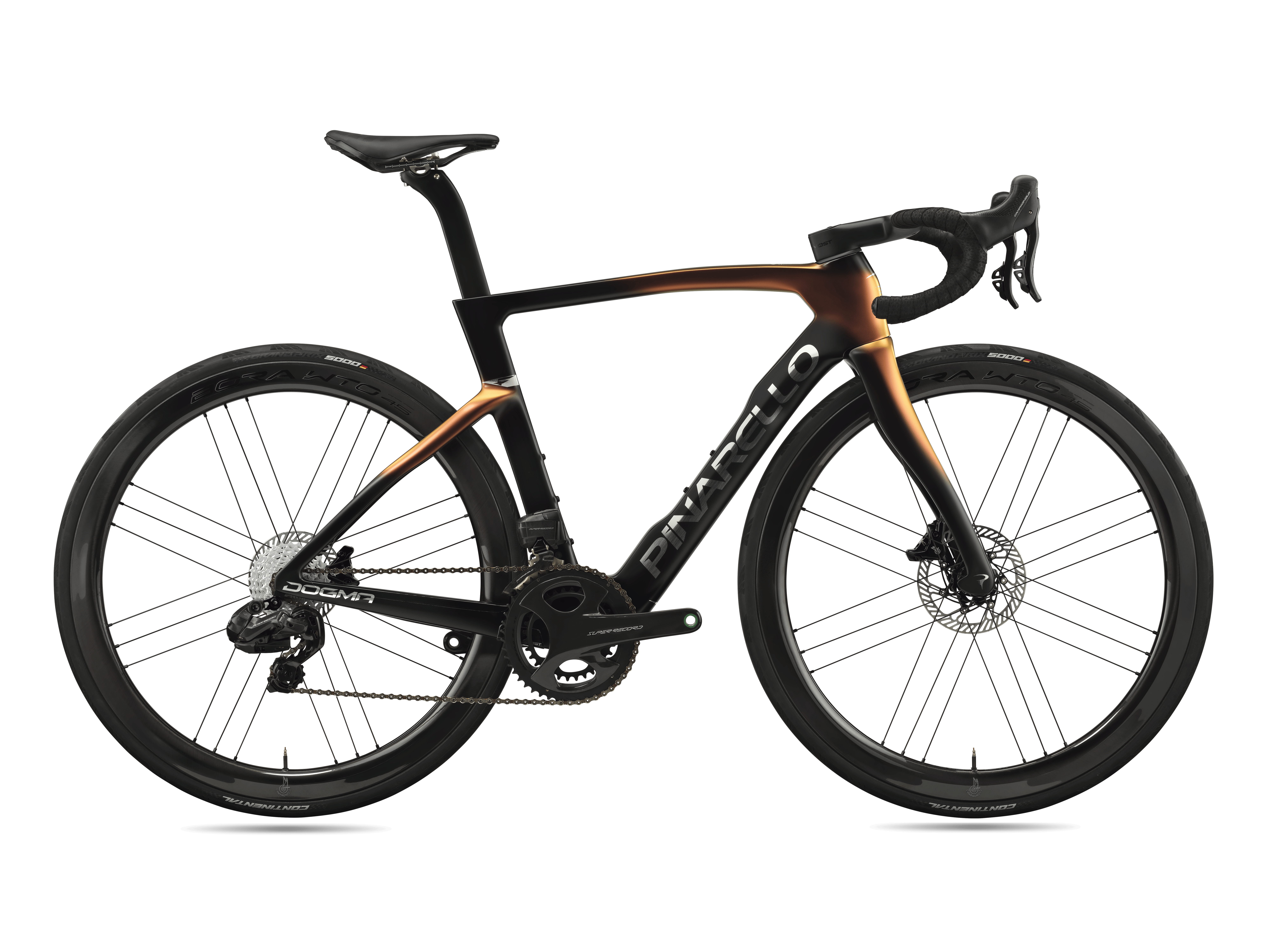DOGMA F - SUPER RECORD WLR - LUXTER RED GOLD