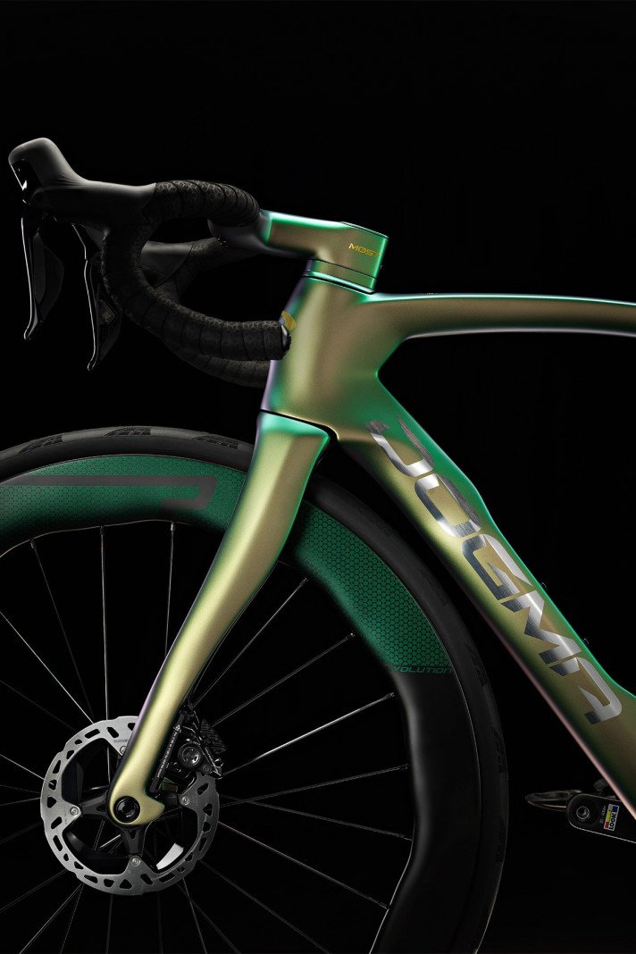 DOGMA F 1 OF A KIND