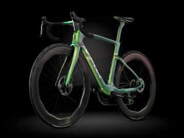 DOGMA F </br> 1 OF A KIND
