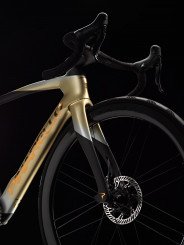 DOGMA F SUPER RECORD 13