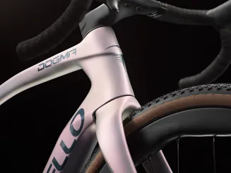 DOGMA GR