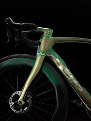 DOGMA F 1K