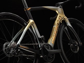 DOGMA F SUPER RECORD 13